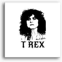 Los Polos T-REX Marc Bolan portré rajz vászonkép