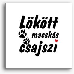 Los Polos Lökött macskás csajszi vászonkép