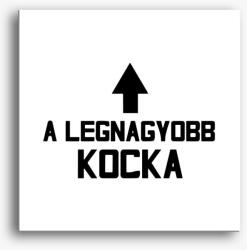 Los Polos A legnagyobb kocka vászonkép