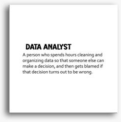 Los Polos data analyst vászonkép