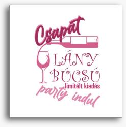 Los Polos Lánybúcsú party kezdődik Csapat vászonkép