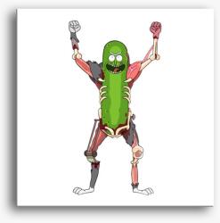 Los Polos Pickle Rick Rat Suit vászonkép
