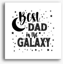 Los Polos Best DAD in the galaxy vászonkép