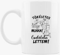 Los Polos Az én munkám csak tökéletes lehet párja, csodálatos lettem lány1 bögre