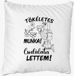 Los Polos Az én munkám csak tökéletes lehet párja, csodálatos lettem lány1 párna
