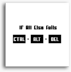 Los Polos Iff all else fails vászonkép