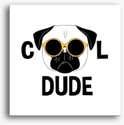 Los Polos Cool dude vászonkép