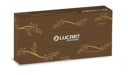 Lucart EcoNatural 100V Kozmetikai kendő 2rtg, havana, 100 db 841073