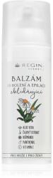 Regina Soothing balsam calmant dupa barbierit 50 ml