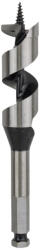 Bosch PRO Wood fa spirálfúrószár, 25x100x160 mm (2608585708) - megatool
