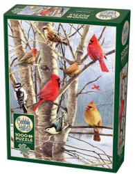 Cobble Hill 1000 db-os puzzle - Winter Birds (40248) (40248)