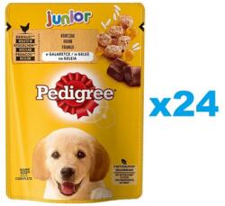 PEDIGREE Junior tasak 24x100g teljes értékű nedves eledel kölyökkutyáknak, csirkehúsban gazdag darabok rizzsel, zselében
