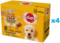 PEDIGREE Junior Choice of Flavors rizzsel tasakok 48x100g teljes értékű nedves eledel kölyökkutyáknak, darabokban, marhahús és máj keverékkel és rizzsel, csirkével és rizzsel, bárányhús és máj keverékkel és ri