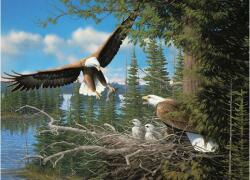 Cobble Hill 40173 - Nesting Eagles - 1000 db-os puzzle (40173)