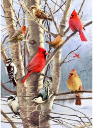 Cobble Hill 40248 - Winter Birds - 1000 db-os puzzle (40248)