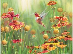 Cobble Hill 45040 - Rufous Hummingbird - 500 db-os puzzle (45040)