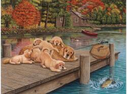 Cobble Hill 48020 - Lazy Day on the Dock - Easy Handling puzzle (48020)