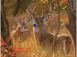 Cobble Hill 48025 - Secret Rendezvous - Easy Handling puzzle (48025)