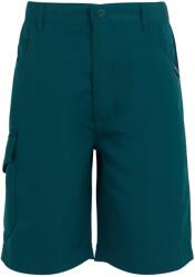 REGATTA Gyermekek/gyerekek Sorcer II rövidnadrág 3 EVES kék|zöld