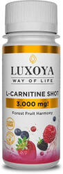 Luxoya L-CARNITINE SHOT 3.000 mg 60 ml - Erdei gyümölcs ízű - alphavital