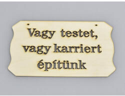  Natúr fa - "Vagy testet vagy karriert. . " tábla 10, 8x19, 7cm - feliratként és tábladíszként