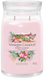 Yankee Candle Desert Blooms Signature Nagy 567 g