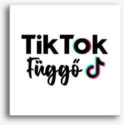 Los Polos TikTok függő vászonkép