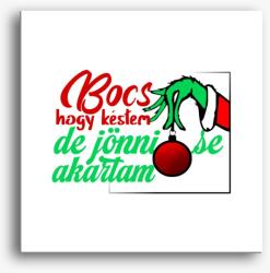 Los Polos Bocs hogy késtem Grinch vászonkép
