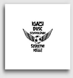 Los Polos DVSC szurkoló vászonkép