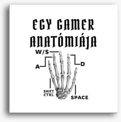Los Polos Gamer anatómia vászonkép