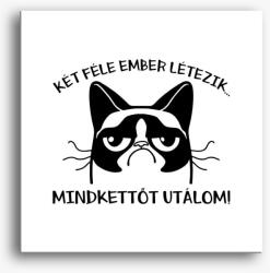 Los Polos Két féle ember létezik, mindkettőt utálom vászonkép