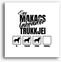 Los Polos Egy makacs labrador trükkjei vászonkép