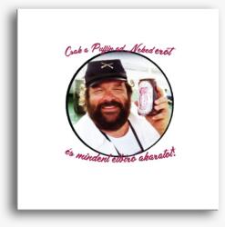 Los Polos Bud Spencer csak a puffin vászonkép