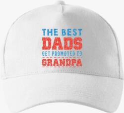 Los Polos promoted grandpa baseball sapka