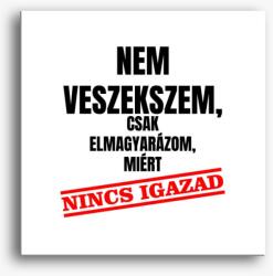Los Polos Nem veszekszem csak elmagyarázom miért nincs igazad vászonkép