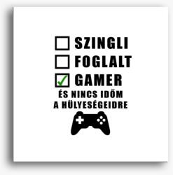 Los Polos Gamer vagyok és nincs időm a hülyeségeidre vászonkép