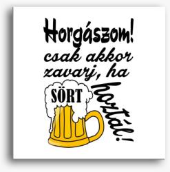 Los Polos Horgászom, csak akkor zavarj, ha sört hoztál vászonkép