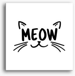 Los Polos Meow cica vászonkép