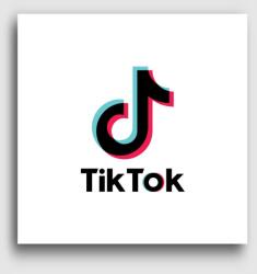 Los Polos TikTok vászonkép