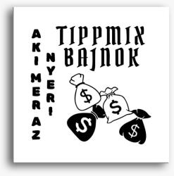 Los Polos Tippmix bajnok vászonkép