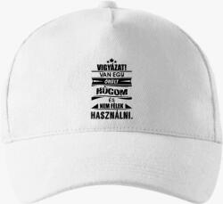 Los Polos Van egy húgom baseball sapka