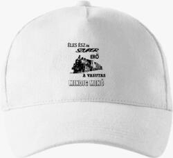 Los Polos Vasutas baseball sapka