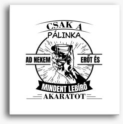 Los Polos Csak a pálinka ad nekem erőt és mindent lebíró akaratot vászonkép