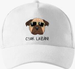Los Polos Laza kutya baseball sapka