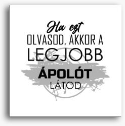 Los Polos Legjobb ápoló vászonkép