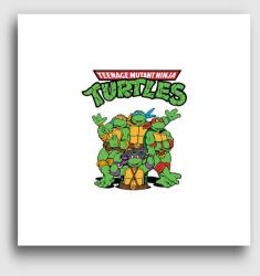 Los Polos TMNT vászonkép