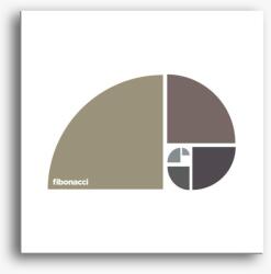 Los Polos Fibonacci aranymetszés design vászonkép