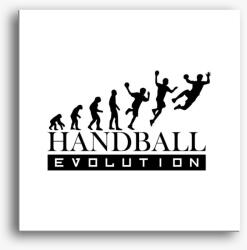 Los Polos Handball evolution feliratos vászonkép