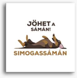 Los Polos Tacskós sámán vászonkép