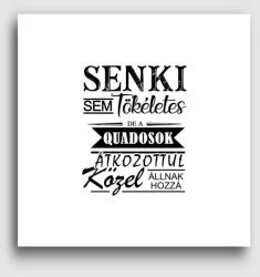 Los Polos Tökéletes quados vászonkép